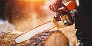 Read more about the article Mastering Chainsaw Cutting Techniques