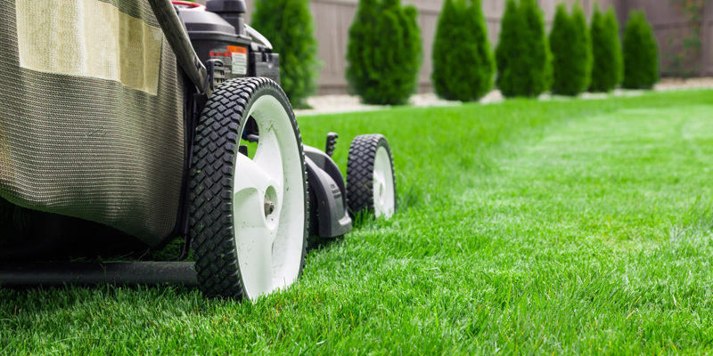 Read more about the article The Benefits of Walk-Behind Mowers