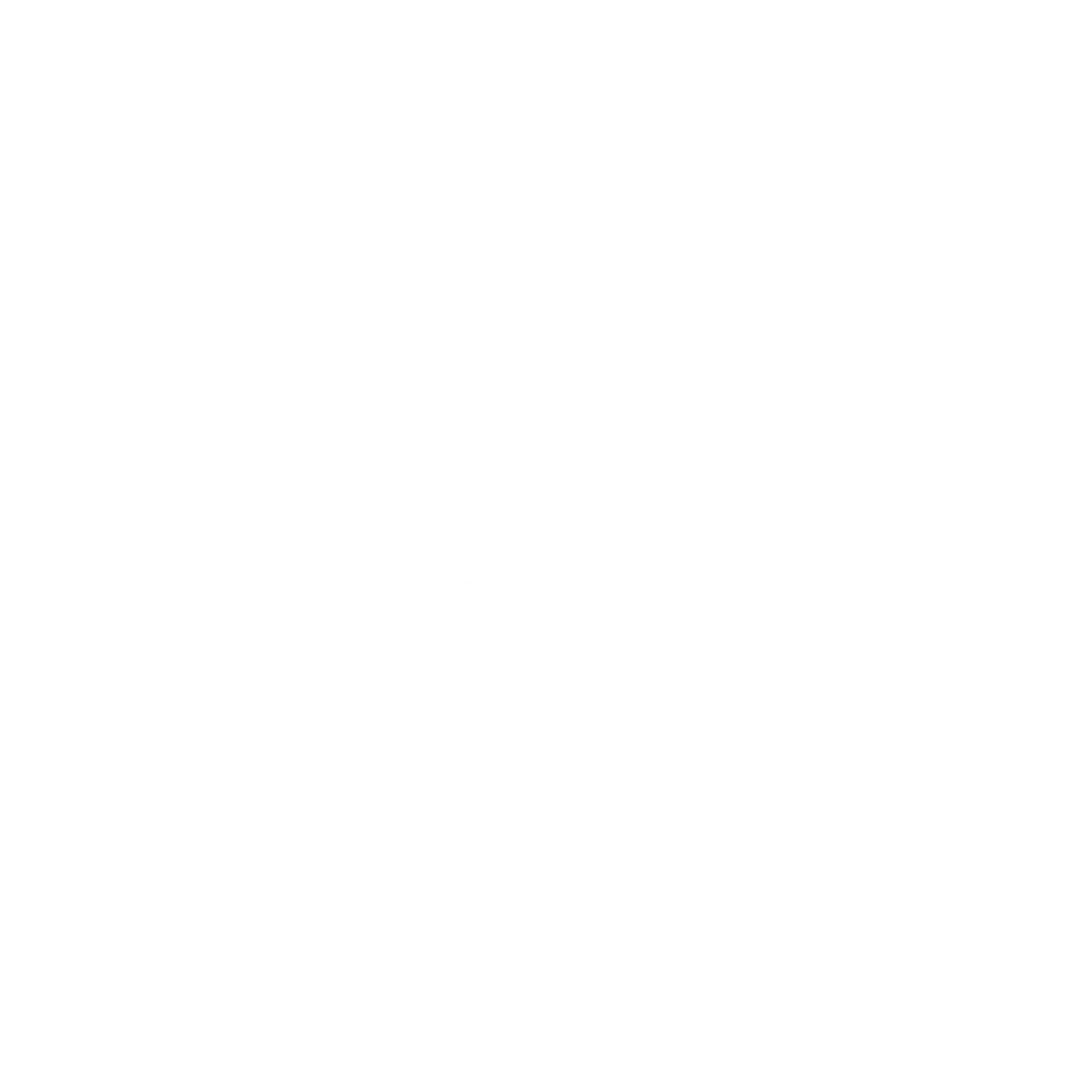 Husqvarna Power Logo